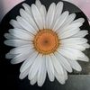 mrzcheez230